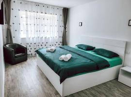 Cosy apartment Fagaras，位于弗格拉什的低价酒店