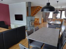 Kiruna Accommodation Timmermansgatan 23，位于基律纳的青旅