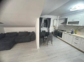 APARTAMENT 2 CAMERE TIRGU JIU，位于塔古玖的酒店