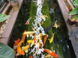 Villa Bán đảo Bảo Ninh - Đồng Hới，位于洞海的酒店