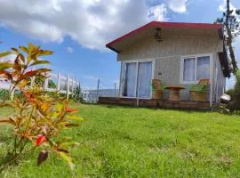 Adaara Retreat