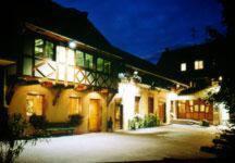 Logis Hotel Restaurant La Charrue，位于Benfeld的酒店