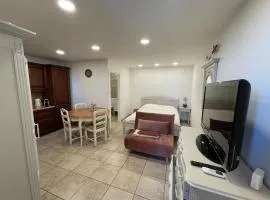 Studija prie mariu .