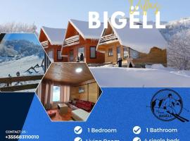 Villas Ski-Pista Bigell Dardhe，位于戈里察的乡村别墅