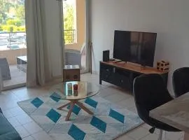 Superbe appartement T2
