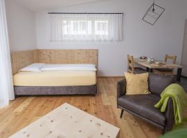 Chasa Helvetia Studio，位于米施泰尔的酒店