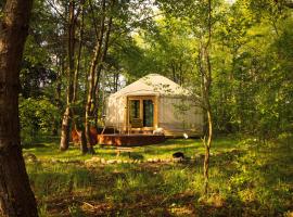 Dacza Puchacza Glamping，位于Stare Osieczno德拉瓦国家公园附近的酒店