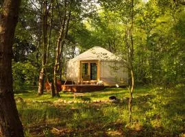 Dacza Puchacza Glamping