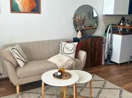 Apartment near Airport and City