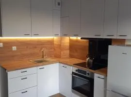 Apartament Bartąska