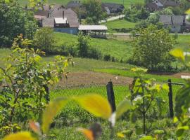 Srce Petrove gore，位于Radonja的酒店