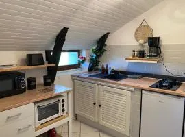 Gite de la deveze cosy et nature