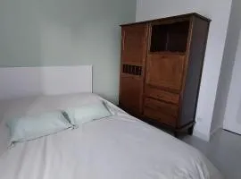 La maison verte