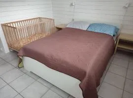 Biri nær Gjøvik ,Hamar og Lillehammer apartments