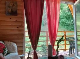 Visoko Pyramid VALLEY