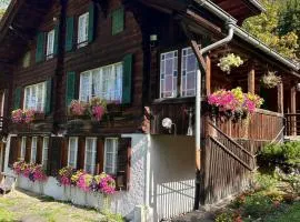 Cosy Traditional Swiss Chalet