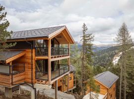 Naturchalets Turracher Höhe by ALPS RESORTS，位于图拉彻霍赫的木屋