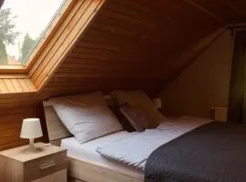 Hangulatos tetőtéri lakás