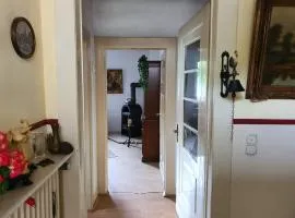 FeWo MaJo - Rustikal & entspannt Perfekt für Arbeit oder Auszeit