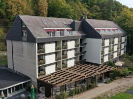 Hotel Luisenpark，位于巴特贝格匝本的酒店
