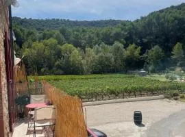 Appartement au calme au milieu du vignoble de Gigondas