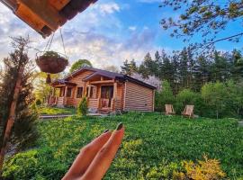 Borjomi Kingswood Cabins，位于博尔若米的山林小屋