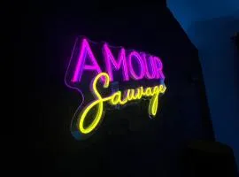 Amour Sauvage-Love Room****, Centre-Historique