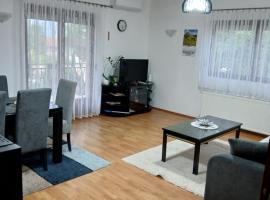 Apartman AM Mladenović，位于弗拉涅的酒店