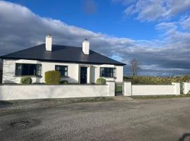 House in the Burren Clare，位于Clarecastle的酒店