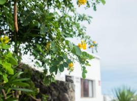 Casa Rural Yeyo en el cráter del volcán，位于Tinguatón的乡间豪华旅馆