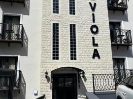 Viola Hotel Budva，位于布德瓦的酒店