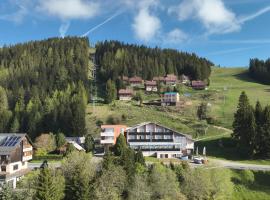 Hotel Alpengasthof Hochegger，位于克利浦托尔的酒店