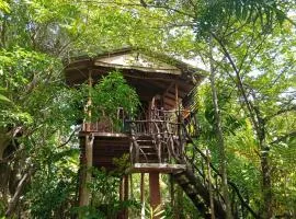 Sigiriya Rock Gate Tree House