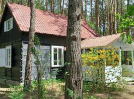 Wilga - urokliwy dom z bala (50 km od Warszawy)，位于Ostry Bór的酒店