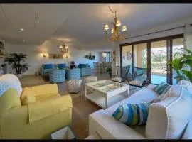 Twin house