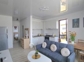 Cozy SoRaDa 2 apartment，位于Bragadiru的酒店