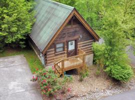 Cozy Studio Cabin, w/ Hot Tub!，位于加特林堡的酒店