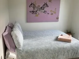 Seahorse bed-and-breakfast