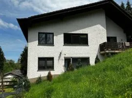 Haus am See