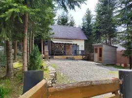 Woodland house