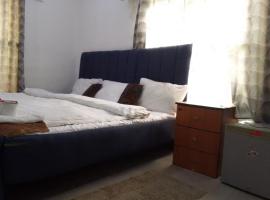 St Theresers apartment with swimming pool，位于拉各斯Lekki Phase 1的酒店