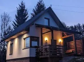 Cichata - domek w Bieszczadach