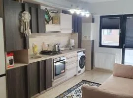 Apartament Castelul Bran