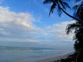 The Tree House Bella Seaview Diani Beach Kenya