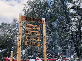 Cabaña en Coñaripe Alto Sector Termas Geométricas，位于柯纳里佩的酒店