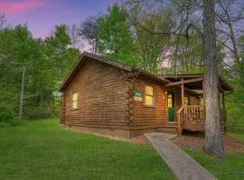 Blue Rose Cabins - Lincoln Log Cabin