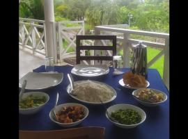 Seya Hotel & Resort，位于科伦坡的酒店