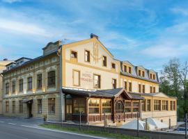 Hotel Praděd Thamm，位于兹拉特霍里Zlaté Louky附近的酒店