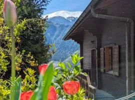 AmBach l Vue exceptionnelle l Sauna