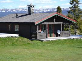 Lifjellhytte 10 by Norgesbooking - cabin at Golsfjellet，位于高尔的酒店